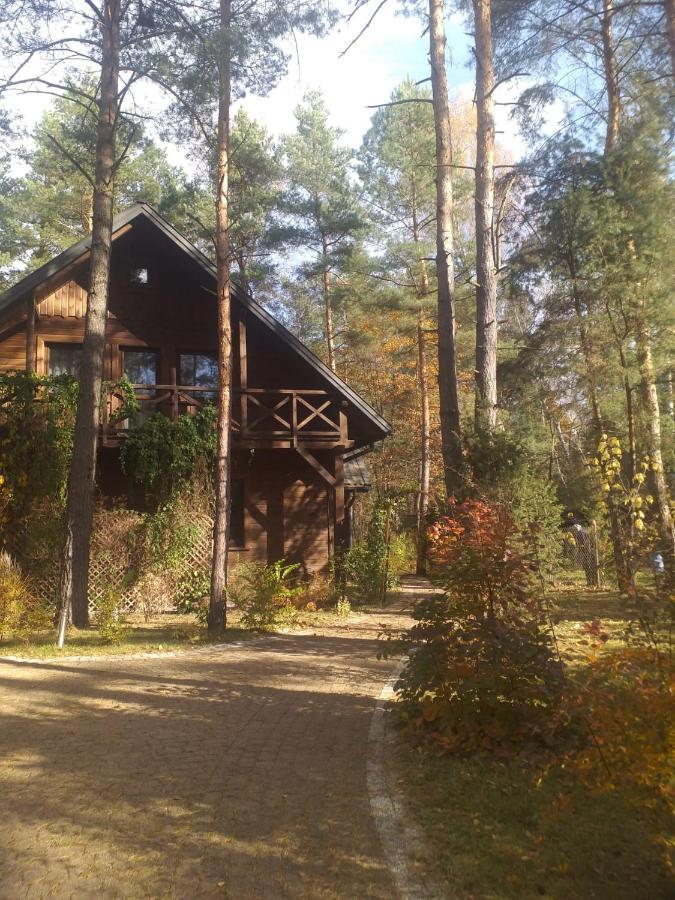 Lesna Ostoja Nad Pilica Villa Lechanice Exterior foto