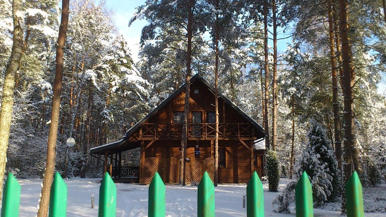 Lesna Ostoja Nad Pilica Villa Lechanice Exterior foto