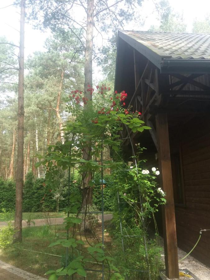 Lesna Ostoja Nad Pilica Villa Lechanice Exterior foto