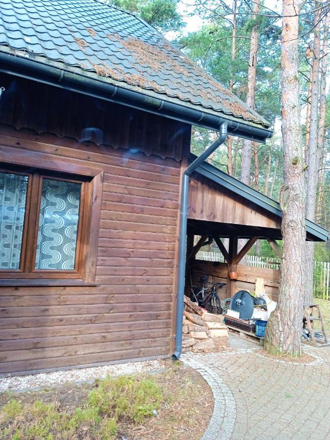 Lesna Ostoja Nad Pilica Villa Lechanice Exterior foto