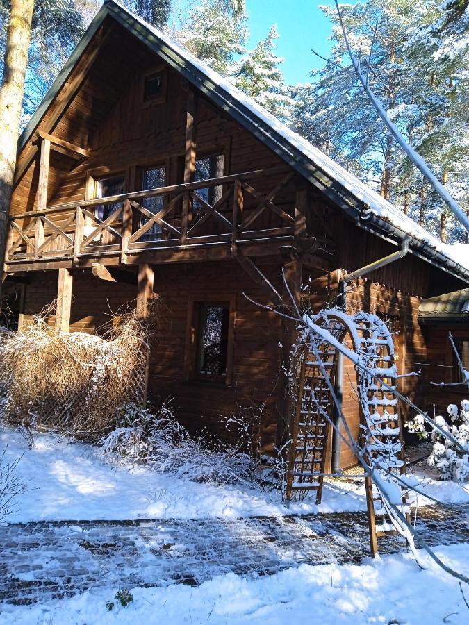 Lesna Ostoja Nad Pilica Villa Lechanice Exterior foto