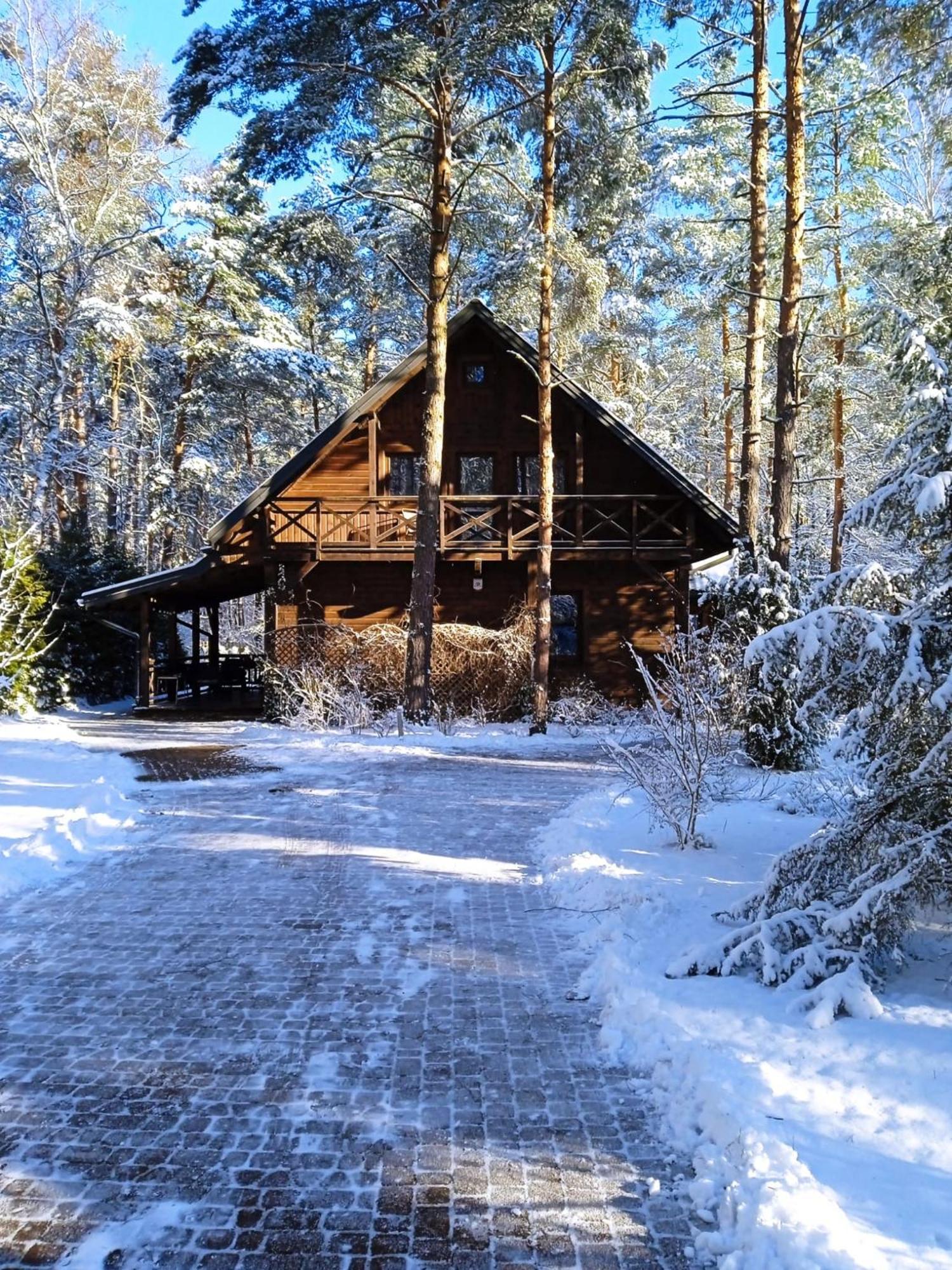 Lesna Ostoja Nad Pilica Villa Lechanice Exterior foto